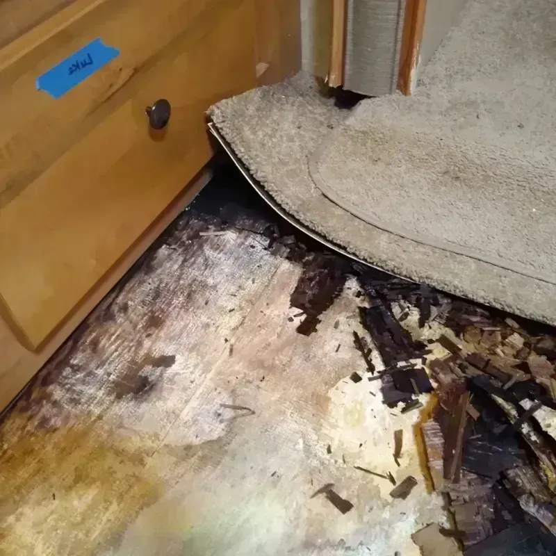 Best Wood Floor Water Damage Service in Hanahan, SC